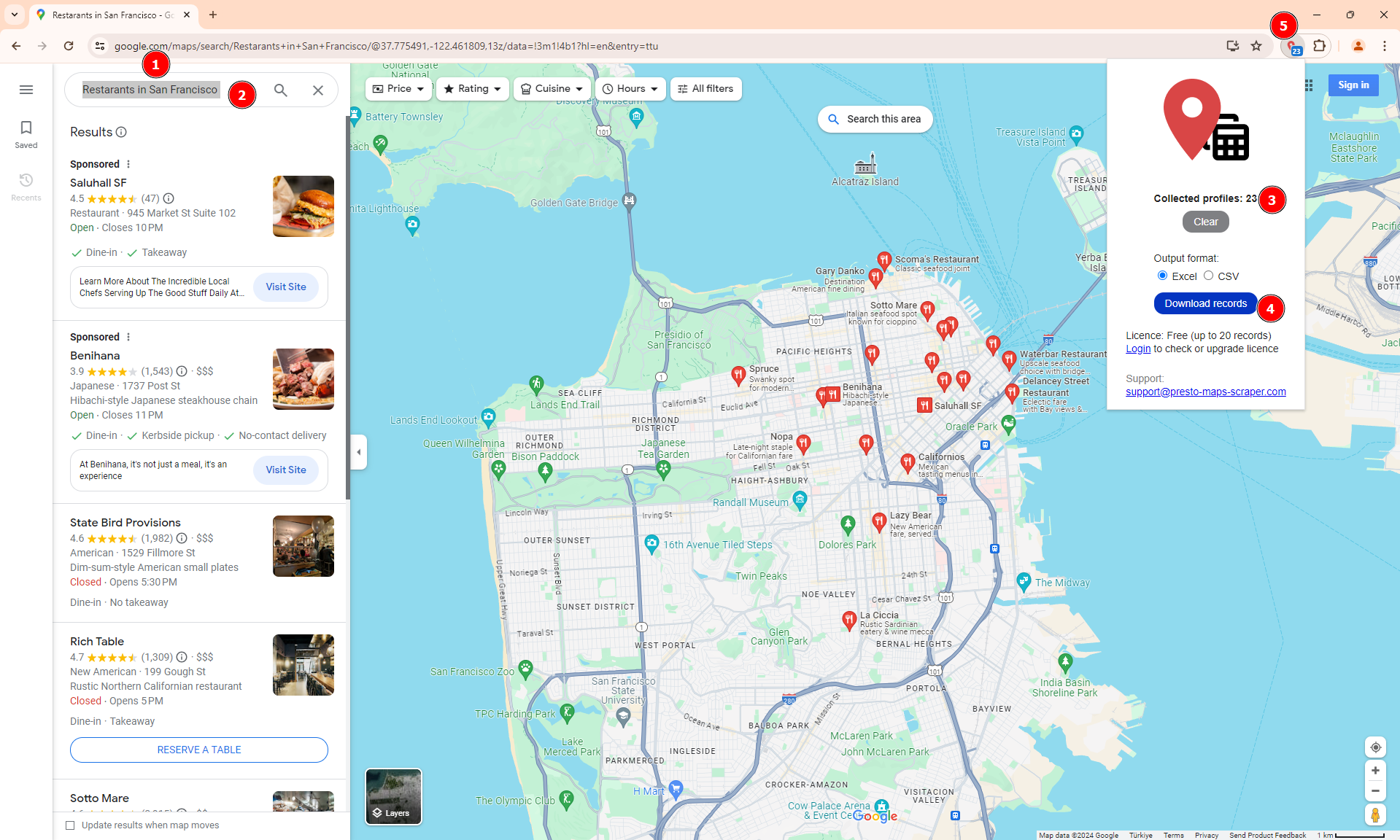 Scraping Business Profiles on Google Maps